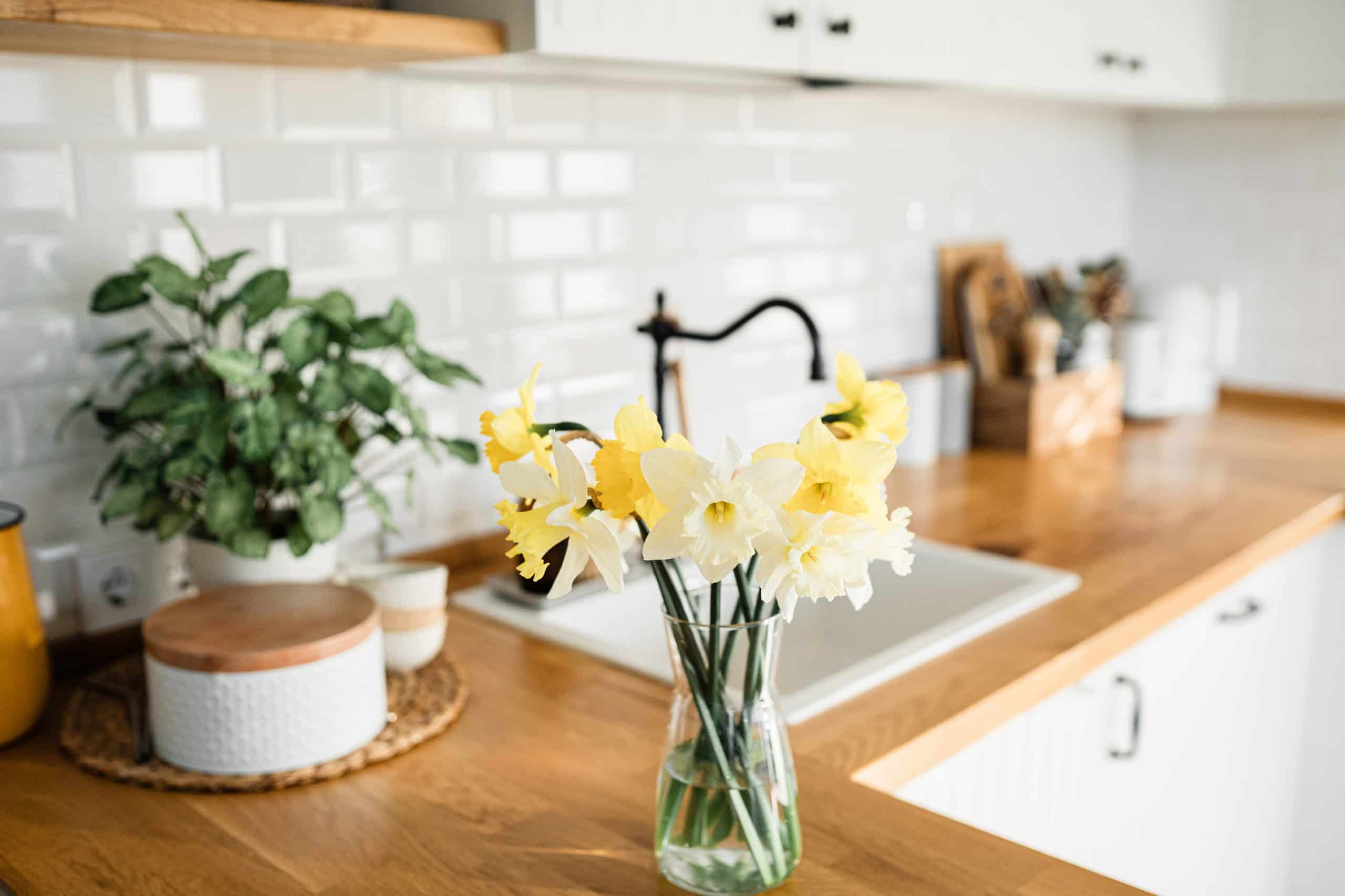 spring cleaning your home