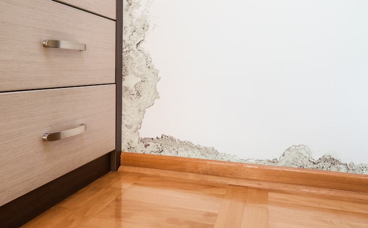 Damage caused by damp on a wall in modern house.